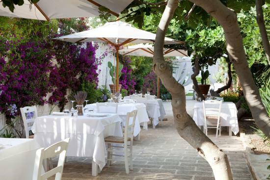 Ristorante T_imo