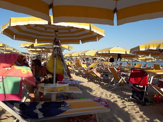Lido Max