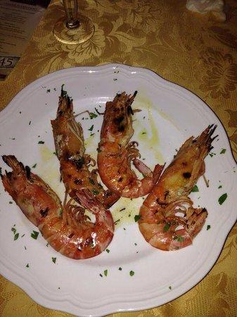 Mèrida