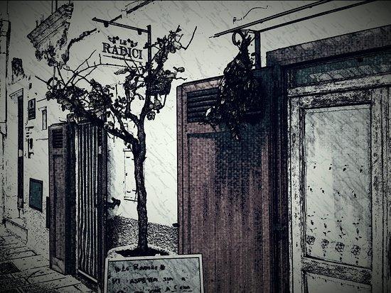 Le Radici