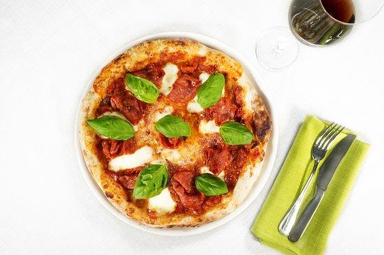 SIR Special Italian Roots