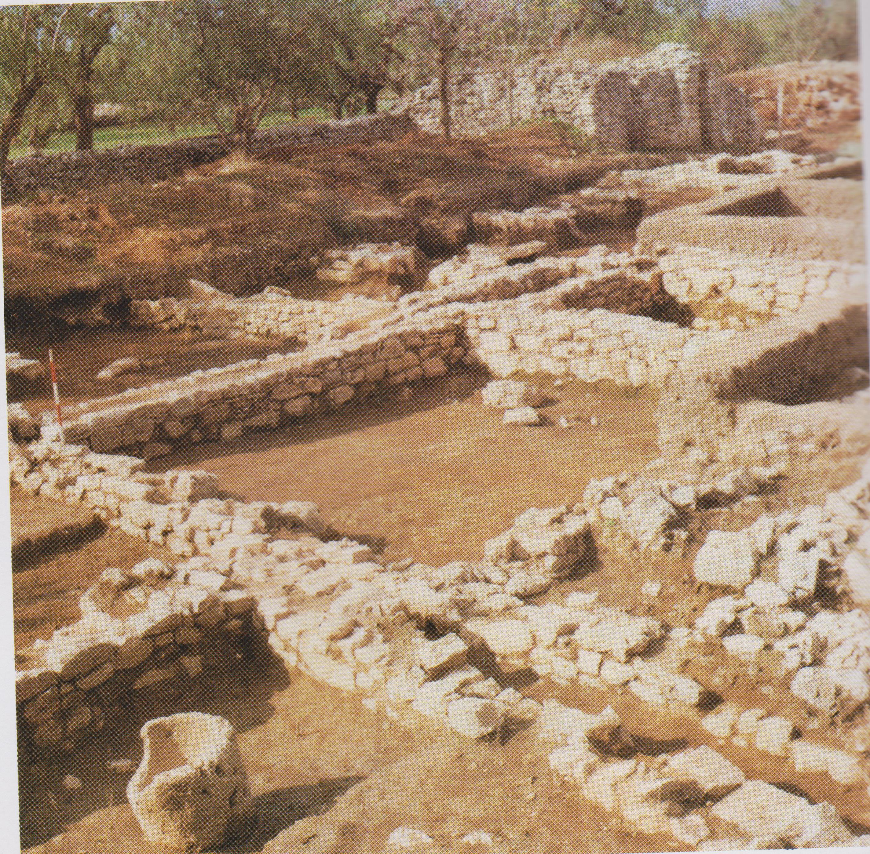 Area Archeologica di Salentino