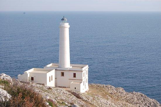 Museo Su Ecologia degli Ecosistemi Mediterranei