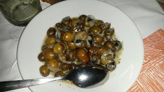 Al Mattatoio