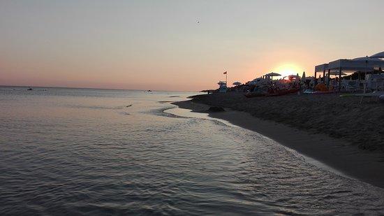 Panache Beach Bar