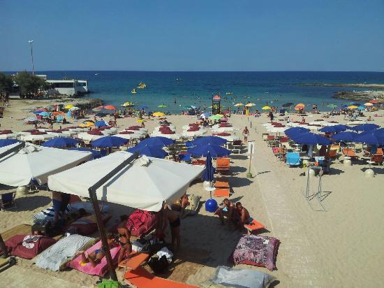 Il Faro