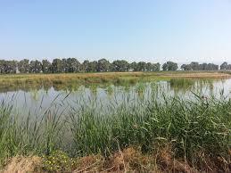 il Lago Salso