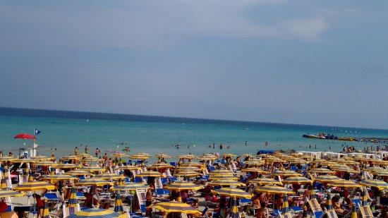 Lido dei Pini