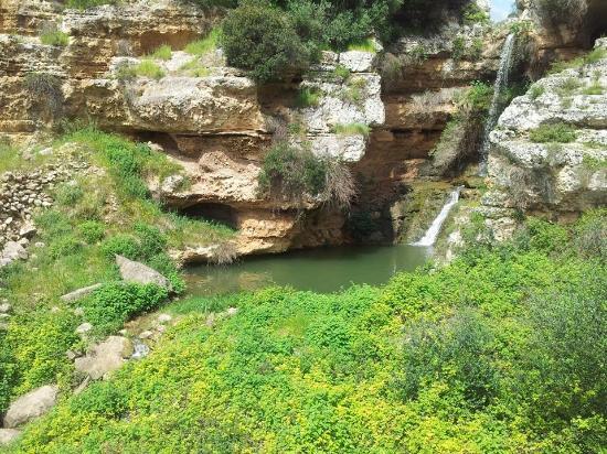 Gravina di Riggio
