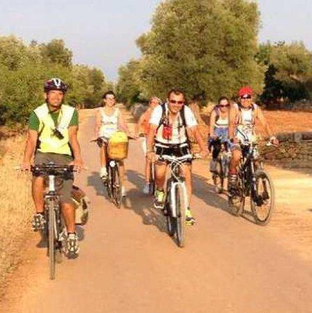 Madera Bike Tour