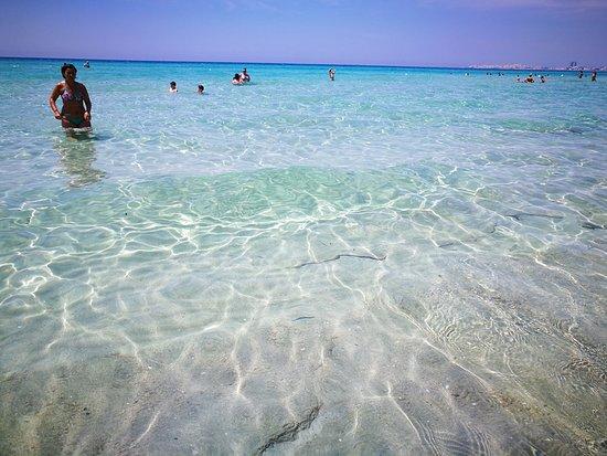 Caloma beach