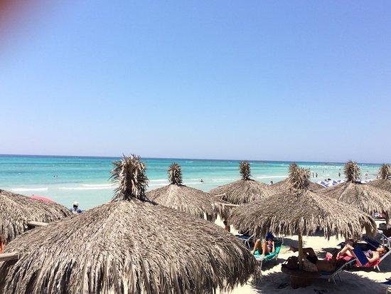 Lido Malibu
