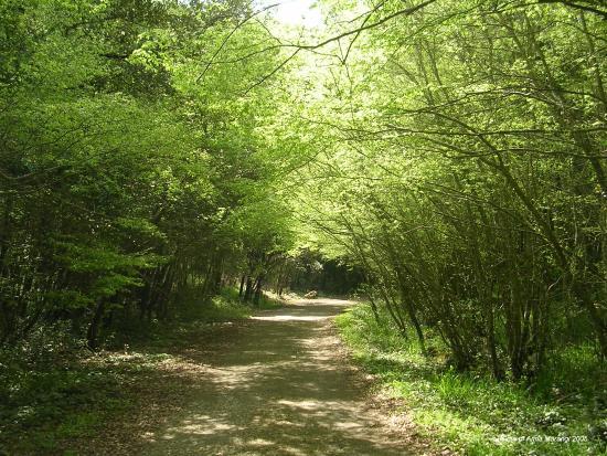 Riserva Naturale Statale delle Murge Orientali