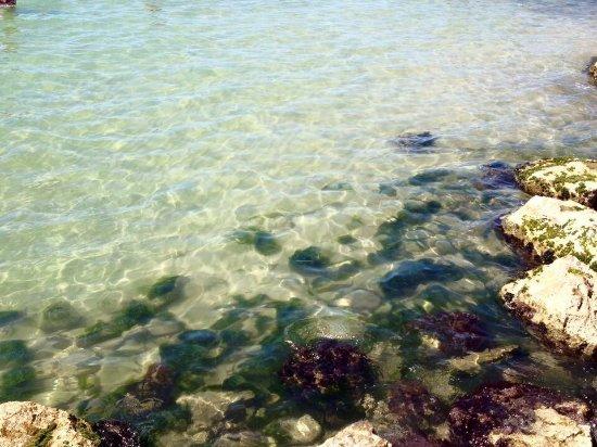 Lido La Sirenetta