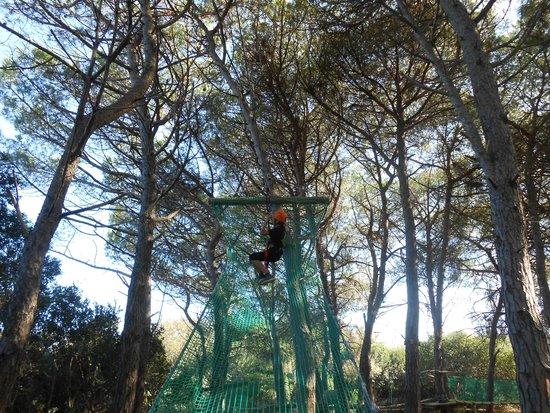 Parco Avventura Bosco Isola