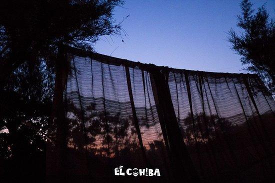 El Cohiba