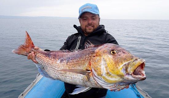 Seabass Clan Charter Pesca Sportiva