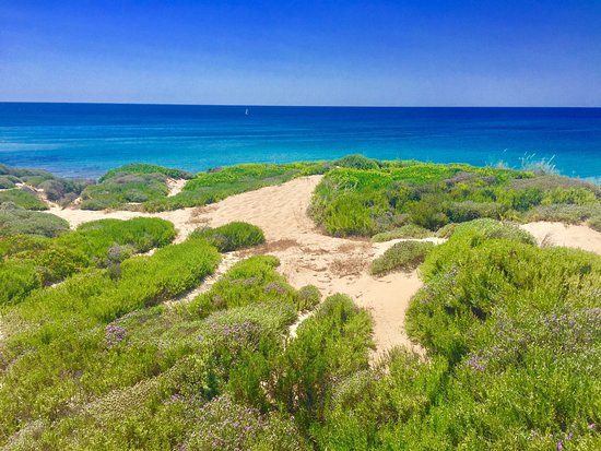 Dune di Campomarino