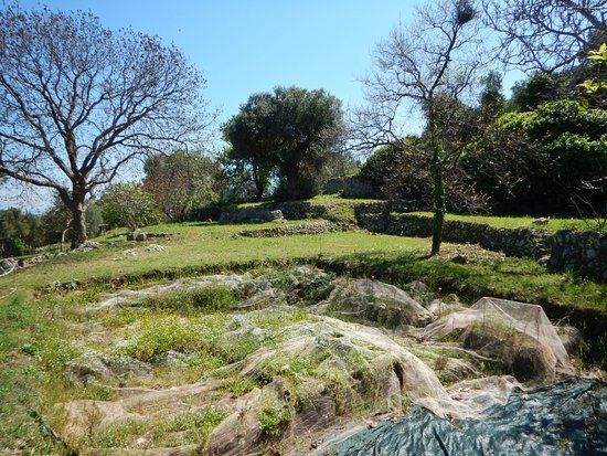Parco Archeologico e Naturale di Santa Maria d'Agnano