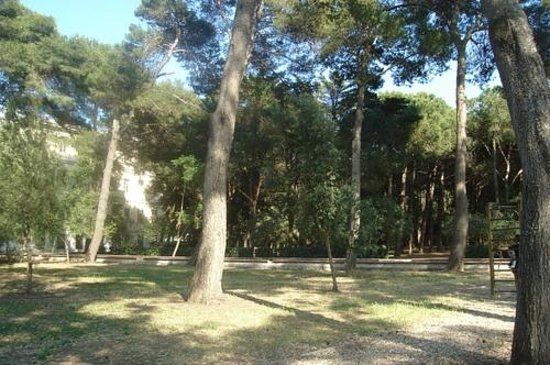Parc Cesare Braico