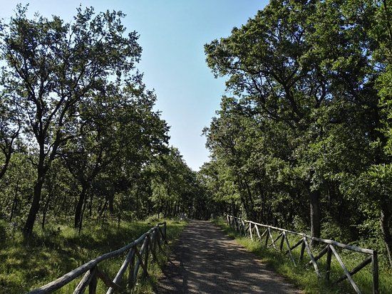 Bosco di Sant'Antuono