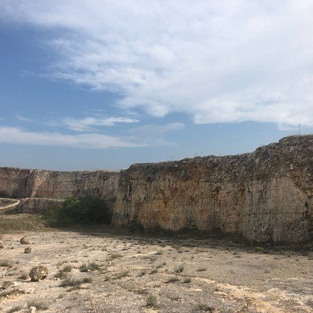 la Cava dei Dinosauri
