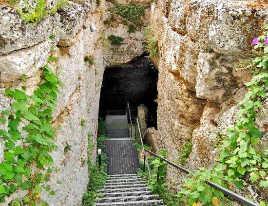 la Fonte Pliniano