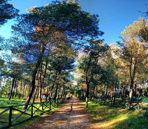 il Parco Naturale Selva Reale