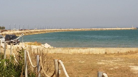 Capoiale