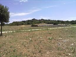 il Parco Archeologico di Monte Sannace